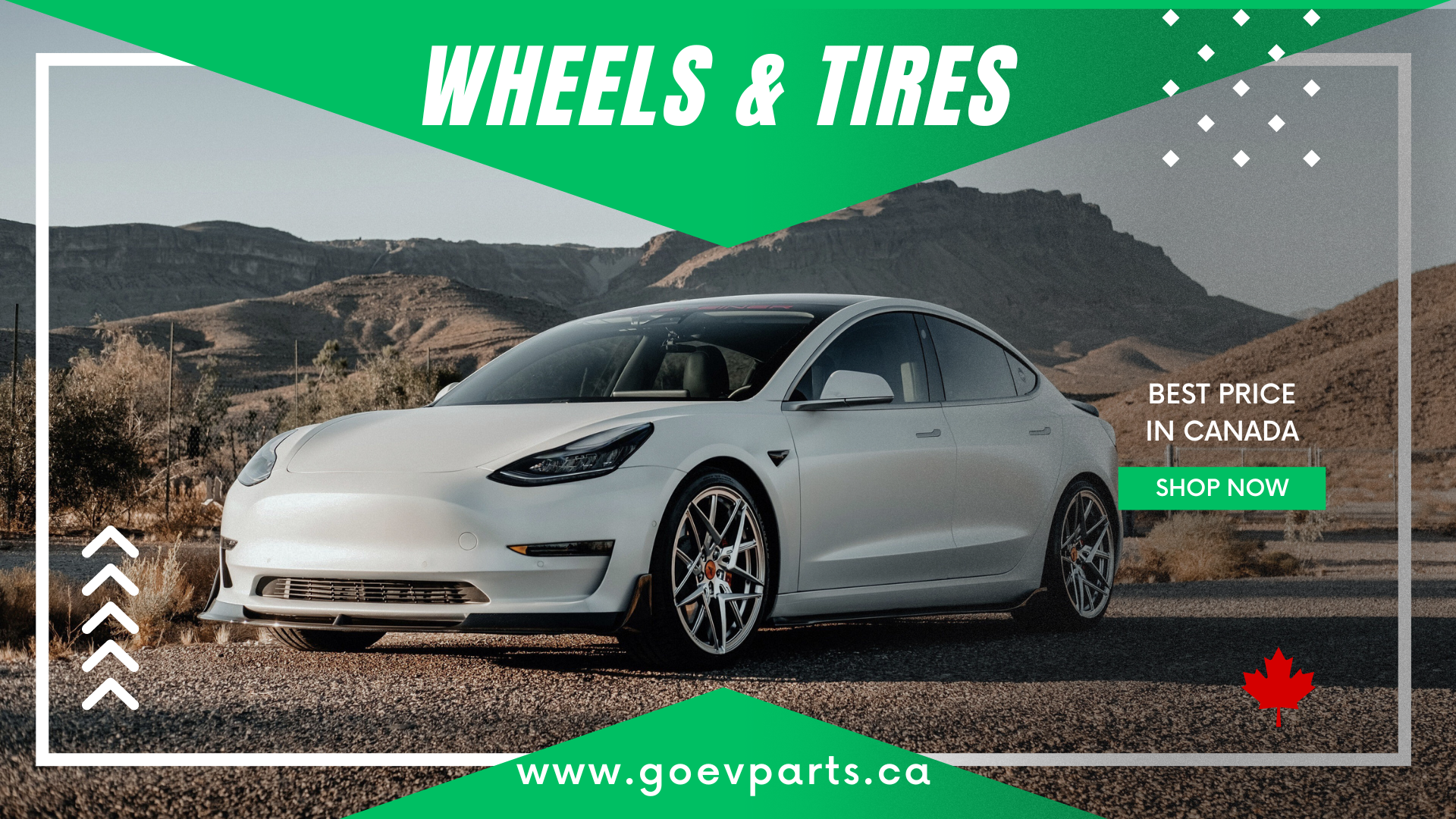 Tesla Summer Tire At Goevparts
