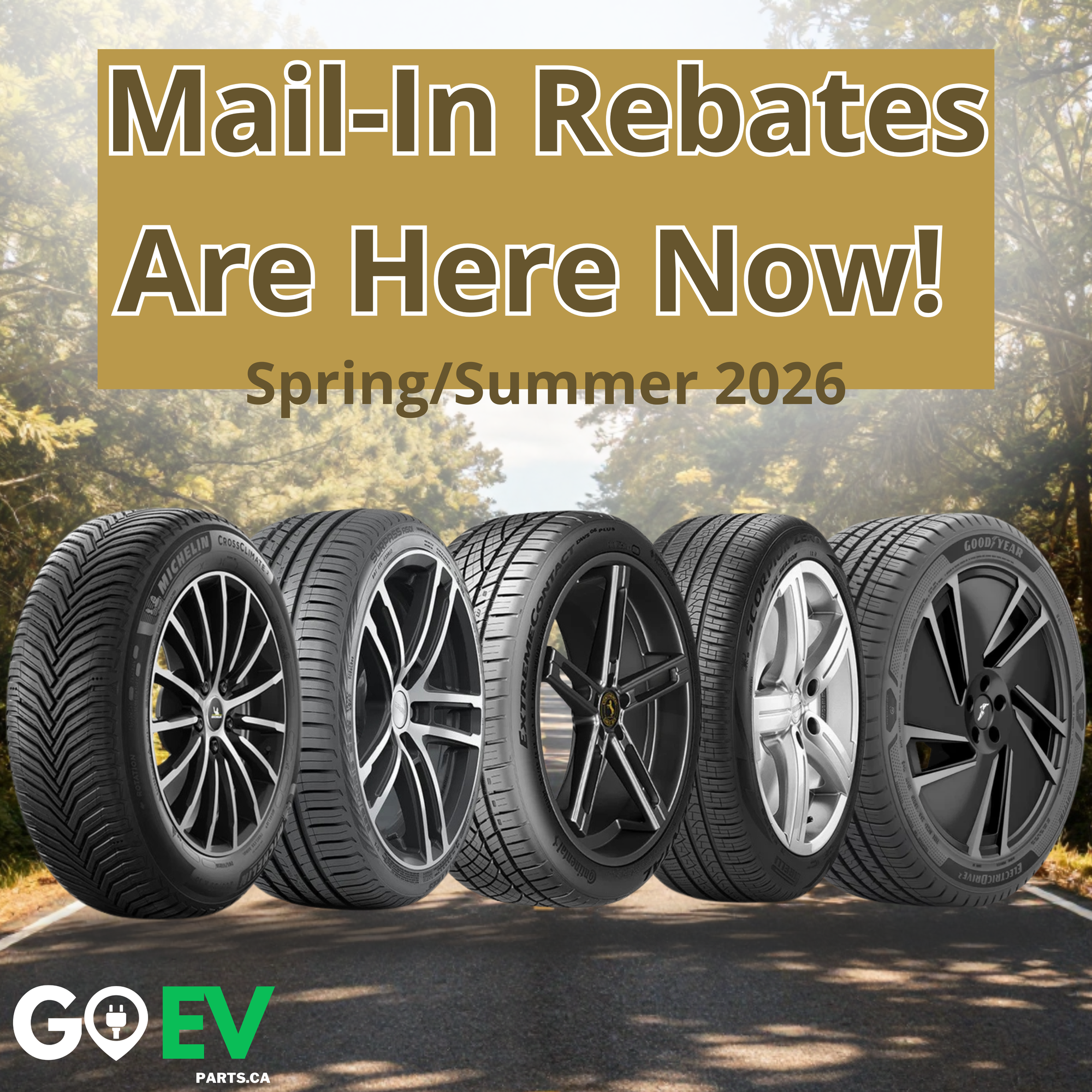 Mail-In Rebates: The Complete Spring/Summer 2026 Guide
