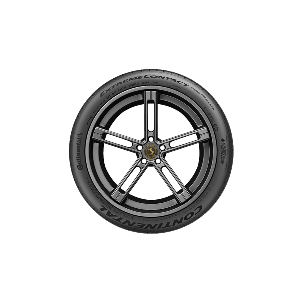 Continental ExtremeContact DWS 06 Plus – 255/45R19 XL 104W – All
